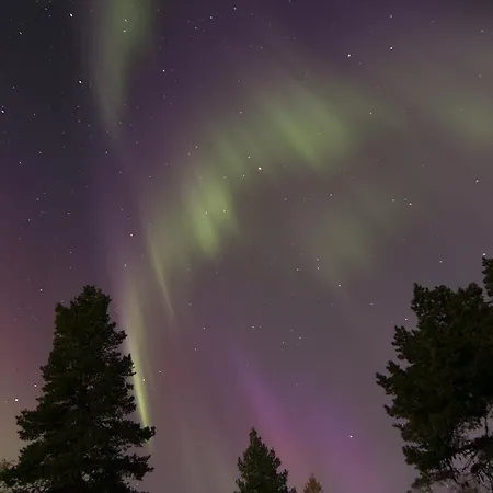 Rovakatu C19 Rovaniemi