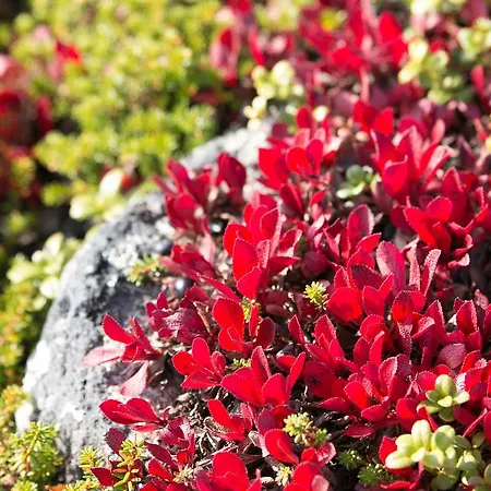 Lägenhet Rovakatu C19 *